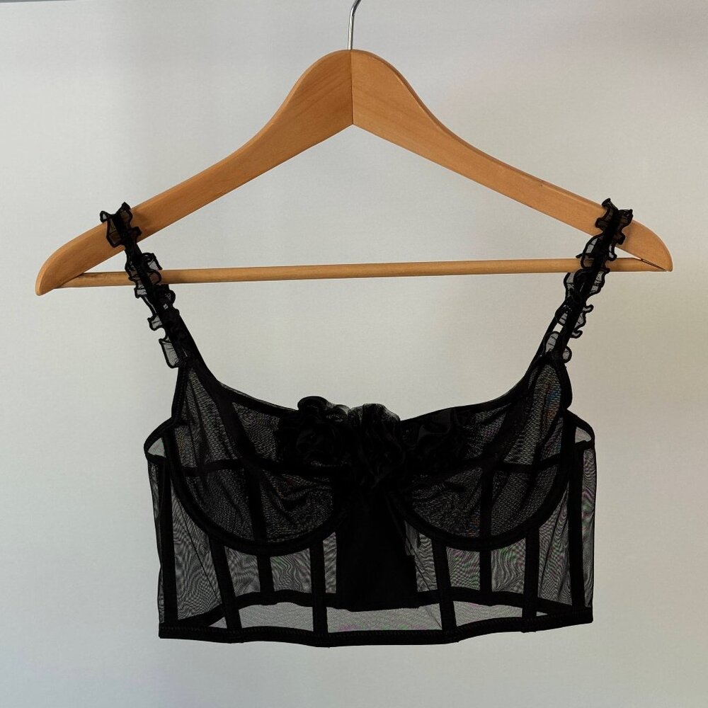 Zara Mesh Bustier Semi Sheer Bra with Roses